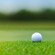 A golf ball resting on a grassy golf course